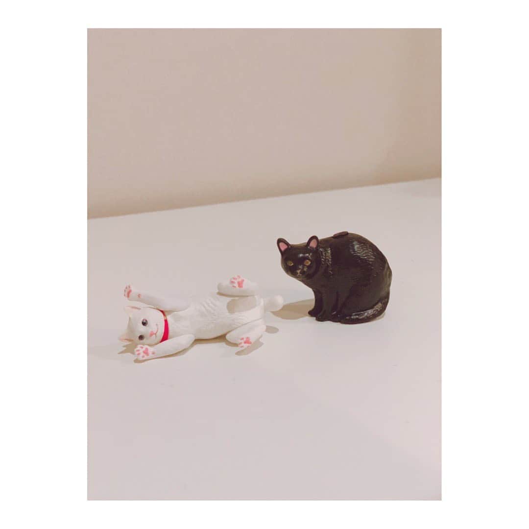 吉岡里帆さんのインスタグラム写真 - (吉岡里帆Instagram)「最近貰ったカプセルトイがお気に入り。  光量がおもちゃのレベルじゃない。笑  #猫　#ガチャガチャ」2月10日 9時55分 - riho_yoshioka