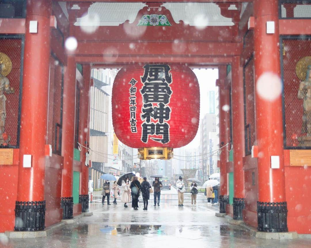 kazumaさんのインスタグラム写真 - (kazumaInstagram)「. 🏮 風 雷 神 門 🏮 . . 1ヶ月ぶりの雪。 先月ほどの雪ではなかったですね。 . . この1ヶ月で13冊の本を読んでいた📚 積読本まだまだあるから加速させないと💨 . . . #asakusa #浅草 #浅草ら部  #雪 #snow . . . . .  . . . . . . . #浅草ら部 #asakusa #浅草 . . ————————————————— #igersjp #team_jp_ #instagramjapan #icu_japan #ink361_asia #like4like #instalike #写真が好きな人と繋がりたい#ファインダー越しの私の世界 #instadaily #ig_worldclub #igrecommend #lovers_nippon #picture_to_keep #キリトリセカイ #jp_gallery_member #東京カメラ部 #tokyocameraclub #indies_gram #tokyo #instagood #love #japan_daytime_view  #art_of_japan_ #ig_photooftheday ————————————————— . . . . . . .. ...」2月10日 20時00分 - kazuma612