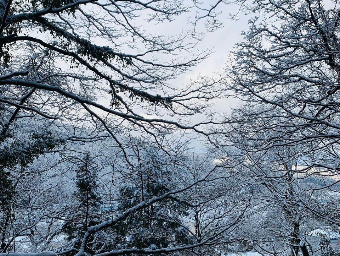 愛川みれいさんのインスタグラム写真 - (愛川みれいInstagram)「なんて美しい世界なんだ❄️💎✨  #石川県#地元#白山比咩神社 #美しい世界#美しいものが好き #雪#雪景色#晴天#夕陽#愛川みれい」2月10日 20時50分 - mirei.aikawa
