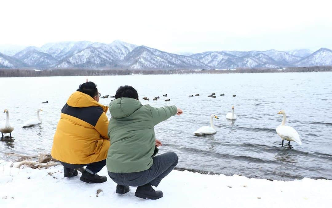 河野真也のインスタグラム：「弟子屈町の、屈斜路湖コタンの湯へ。 温泉熱で結氷しない屈斜路湖では、オオハクチョウなどの渡り鳥が越冬します。 湯気の向こうは、まさに「白鳥の湖」という絶景風呂。 ここでしか味わえない非日常をぜひ！ そして、お食事。 北海道は色々ナンバー１がありますが、お蕎麦の収穫量も日本一。産地もいろいろあって、弟子屈町には、収穫量が少ないことから幻と言われるブランド蕎麦「摩周そば」があります。例年8月下旬に開催される「たぶん日本で一番早い新そば祭り」で知られる香り高い薄緑色のおそばを、「レストラン摩周」でいただきました。おいしかったな〜。北海道を巡ると海鮮を食べる機会が多くなりますが、そこにおそばが入ってくると、より楽しみが広がりますよ〜^_^  ※外出・往来の自粛など、国や自治体が発表している新型コロナウイルスの情報をご確認の上、お出掛け下さい。  #オクラホマくしろ旅 #北海道愛がとまらない #オクラホマ #くしろ旅 #弟子屈 #屈斜路湖 #白鳥 #摩周そば #北海道 #道東自動車道 #hokkaido  #teshikaga #mashu #kussharo」