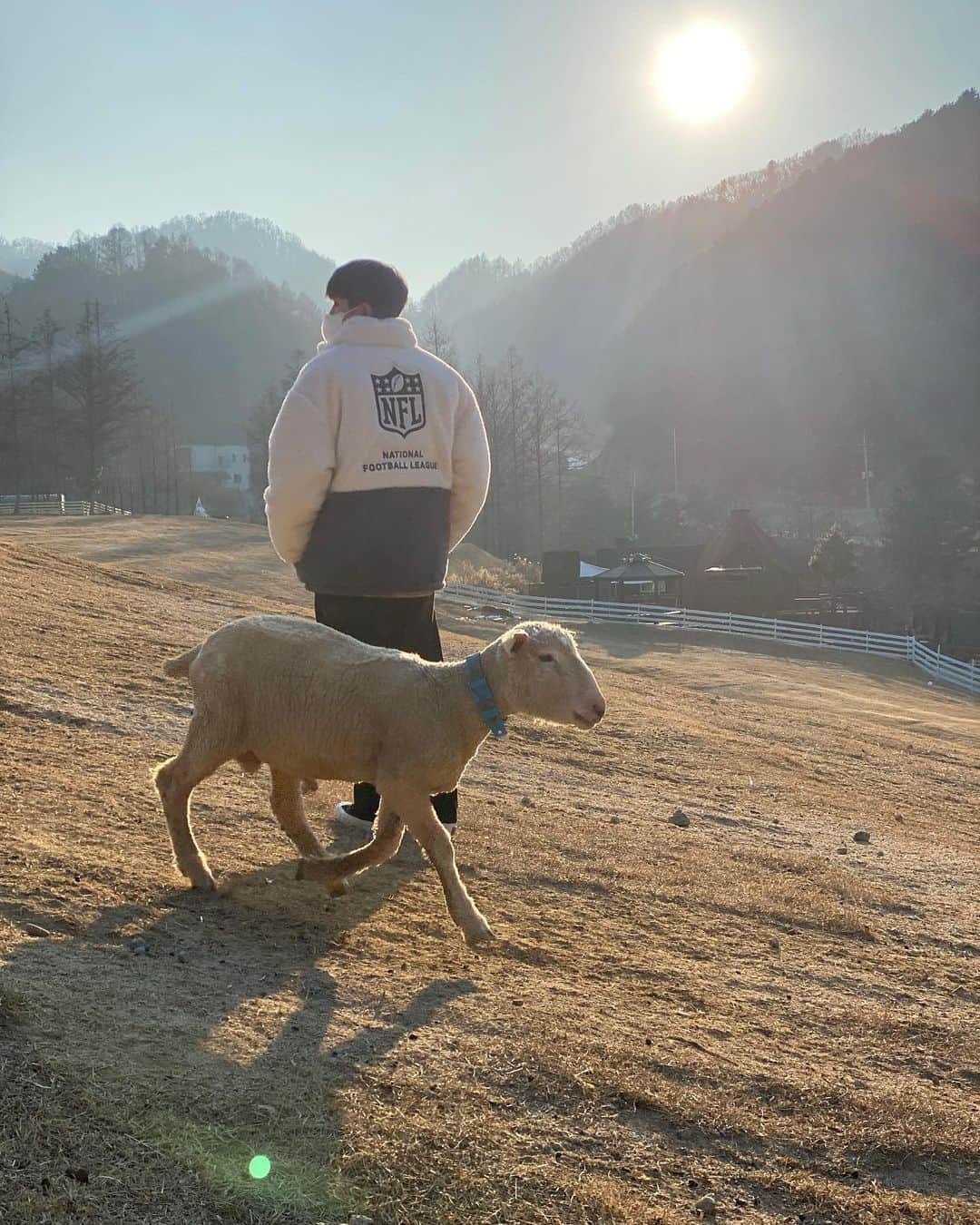 ジンジンさんのインスタグラム写真 - (ジンジンInstagram)「🐏🥰」2月10日 17時28分 - ast_jinjin