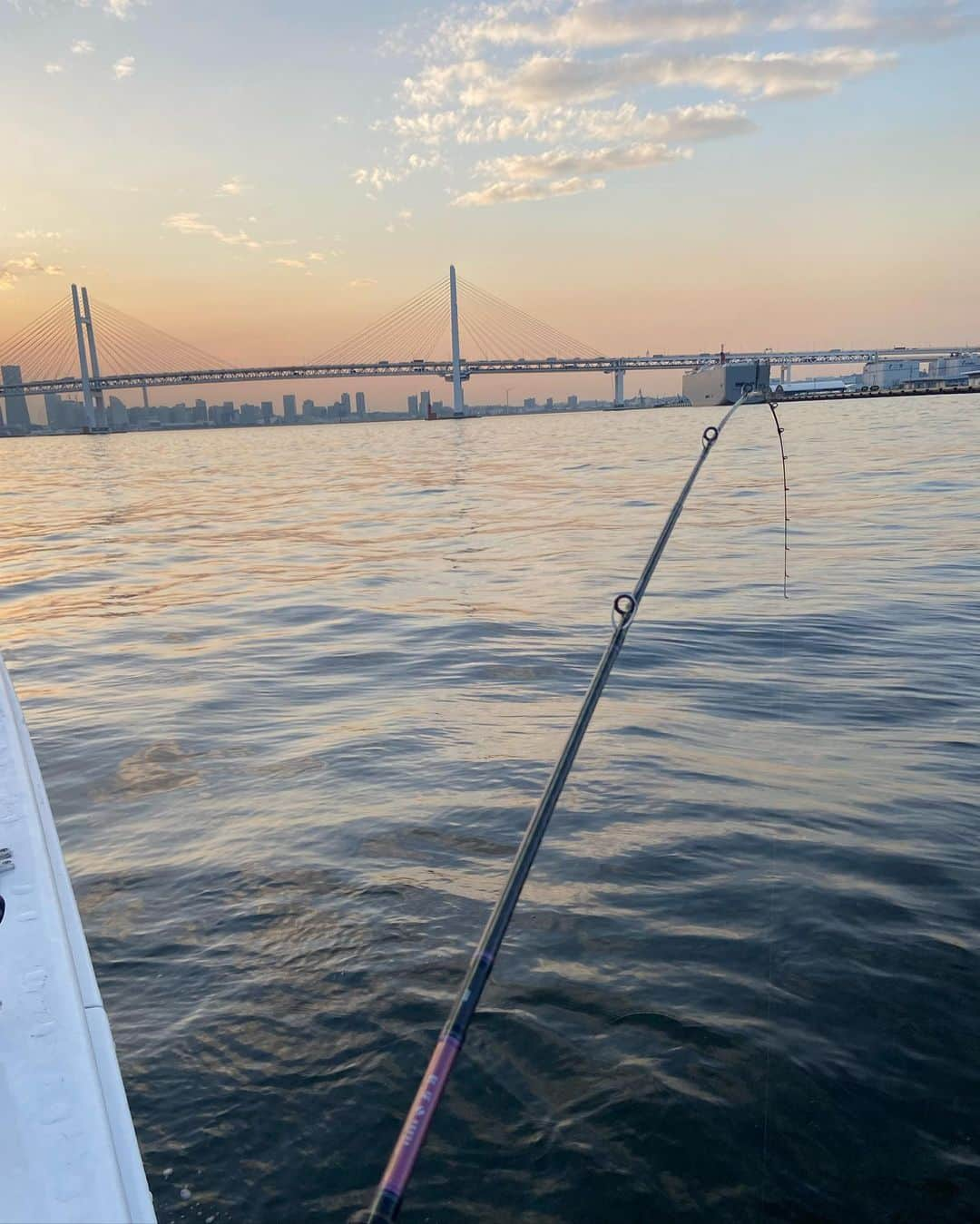 北川珠望さんのインスタグラム写真 - (北川珠望Instagram)「✯ ✯ ✯ 初船釣り🎣  森社長の遊漁船で連れてって貰ったよ⛴🌊  釣り好きな社長とてっちゃんの釣りトークで盛り上がる後ろ姿をはると隠し撮り😂w  今回はタイラバからのアジ狙い🐟✨  釣果、、、 お察しください🤫w  でもね、早くもリベンジ行きたい位楽しかった🤩  今度クルーザーも乗せて貰う事に😍 カジキ行こうって話も🛳🎣 楽しみすぎる💙💙💙  帰って来て姐のお店【旬彩はんなり】での打ち上げでは社員の方が釣ったホウボウを出して貰ったよ🐟  ホウボウって変な鳴き声なのねw 伊勢海老の鳴き声並にビックリw そしてお顔がとってもキュート😍❤️で 美味でした🤤  社長、はる、てっちゃん何から何までいっぱいありがとうございました🥺🍱🛳🎣💙  #釣り#釣りガール#釣り女子  #釣り好きな人と繋がりたい  #釣り好きの人と繋がりたい  #釣り初心者#🎣 #釣り好き #釣りスタグラム  #遊漁船#ホウボウ #タイラバ#アジ釣り #daiwa#waterknot #釣り女子ですっ  ✯ ✯ ✯」2月10日 17時29分 - tamami1224