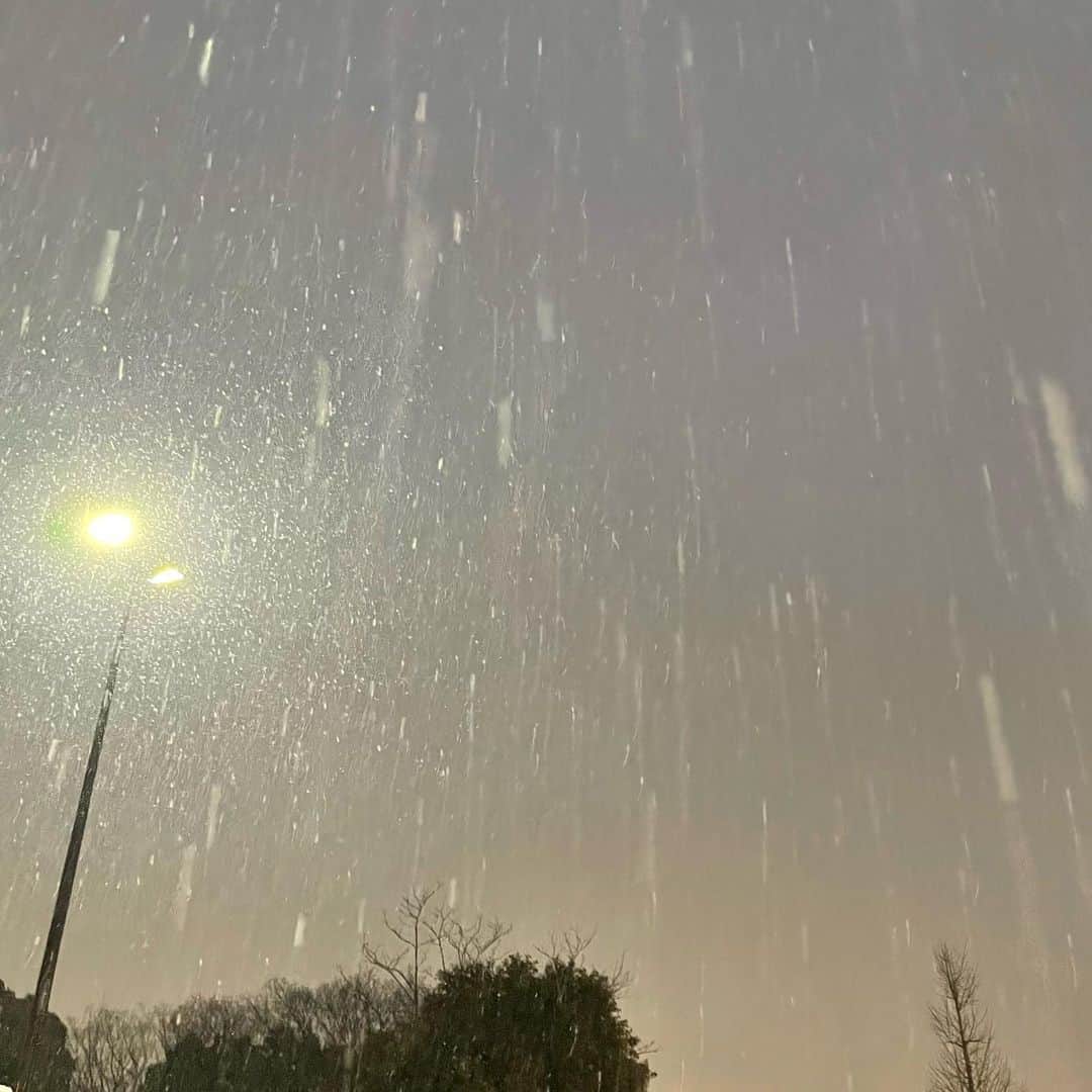吉井明子さんのインスタグラム写真 - (吉井明子Instagram)「こんばんは。  山梨県や長野県、静岡県の山沿いでは大雪となっています。 東京都心は、場所によっても差があると思いますが、午後5時にはみぞれが中心で、空では大きな雪片が舞うように見えても、手元や足元に落ちてくるのはほぼ雨といった状況です。湿度の高い状態が続いています。  今週は、今夜が最後の放送です✨  「BSニュース4K＋ふるさと」 午後11:45〜午前0:10 　BS1・BS4Kにて 気象コーナーは、 番組冒頭と日付が変わってすぐお伝えしています。  今夜もどうぞよろしくお願いします✨  #気象情報 #天気予報 #気象予報士 #気象キャスター #weatherforecaster #기상캐스터　#氣象主播 #吉井明子 #nhk #bs4k #bs1 #bsニュース4k」2月10日 17時57分 - akiko_yoshii_sunny_rain