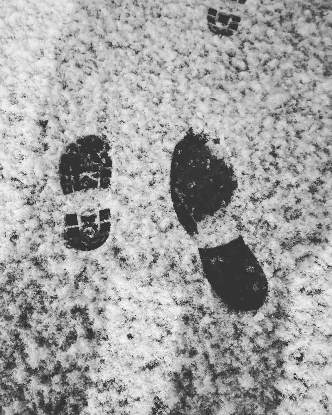 井上和香さんのインスタグラム写真 - (井上和香Instagram)「. 帰り道  まだまだ小さい足だな💕  . #娘の足 #母の足 #明日は凍結してるのかな #怖いな」2月10日 18時37分 - inoue_waka