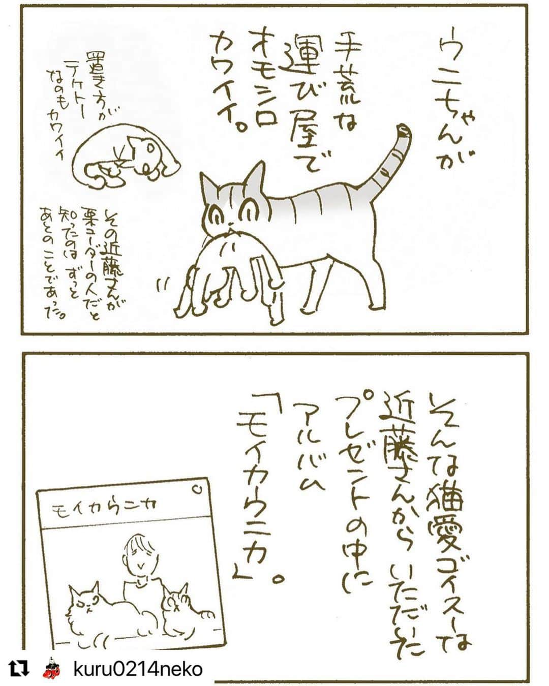 近藤研二さんのインスタグラム写真 - (近藤研二Instagram)「くるねこさんが我が家のこと7コマ漫画にしてくれてウレシカー‼️  シマぞさんの通院が健やかでありますように‼️  #Repost @kuru0214neko with @make_repost ・・・ モイカウニカ オバサンカー  #近藤研二 さん #モイカウニカ  #シマぞ」2月10日 21時46分 - kenjikond0