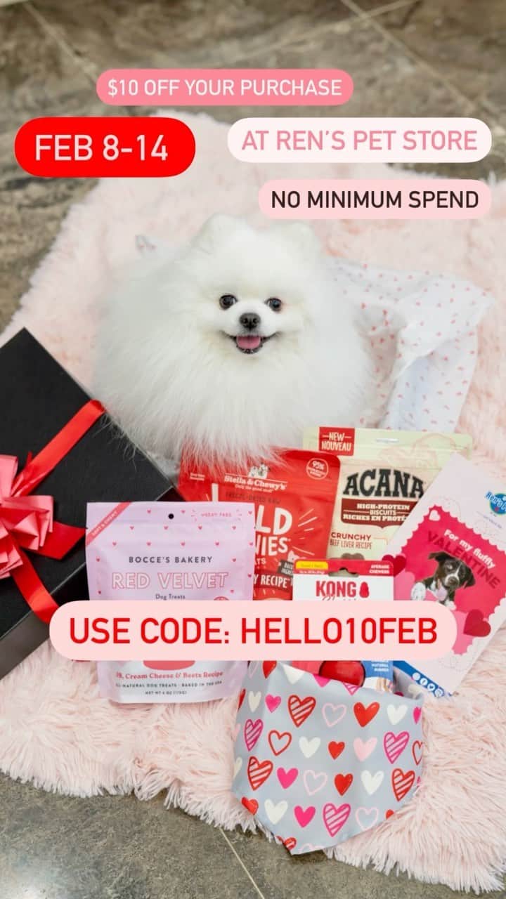 Mochi the Orkyehのインスタグラム：「Share the love with @renspets 💕 Get $10 off your purchase use the discount: “HELLO10FEB”  Valid in store & Online! #iloverenspets   Specials this month:   🦷 Sale on Dental Health products all month long! Amazing deals online and in store for clean teeth and gums! 😁  🌟 Coming Spring 2022: Ren’s 40th store will be opening in Orillia! Visit the Ren’s Pets website and sign up to receive a $20 voucher to shop at their newest location when it opens!」