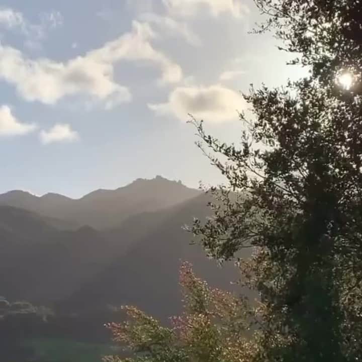 BCBGマックスアズリアのインスタグラム：「What are you grateful for today? Comment below  (video via @goop)」