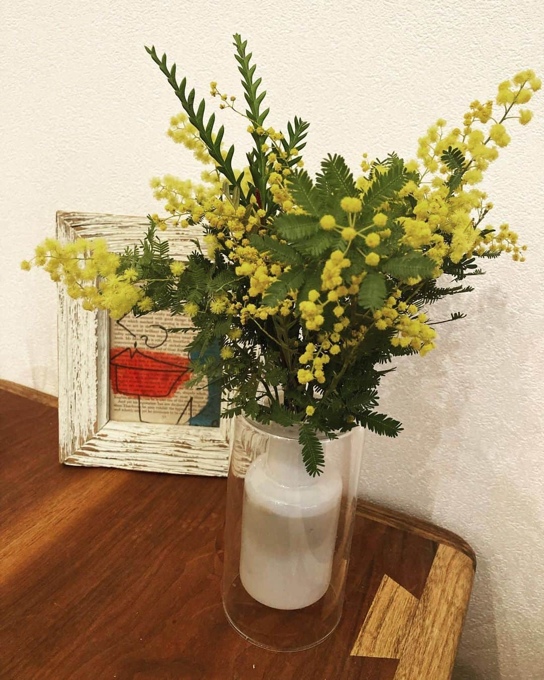 大釜ケリーさんのインスタグラム写真 - (大釜ケリーInstagram)「mimosa  キレイな色  #mimosa #ミモザ　#ミモザの日　#国際女性デー」3月8日 20時15分 - kellyogama