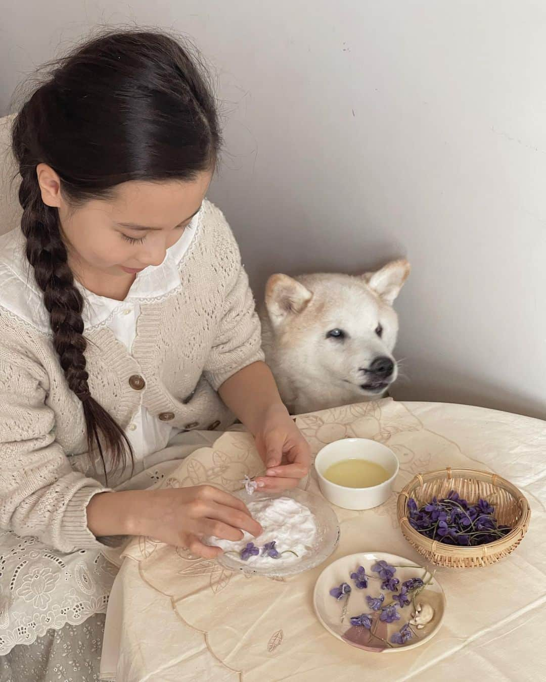 フィロとポンポンさんのインスタグラム写真 - (フィロとポンポンInstagram)「Pendant la préparation…💜 Pompon: Tu entends les oiseaux chanter dehors ? Philo: Oui mon Pompon, c’est le son du printemps qui arrive !」3月8日 16時17分 - philo_pompon