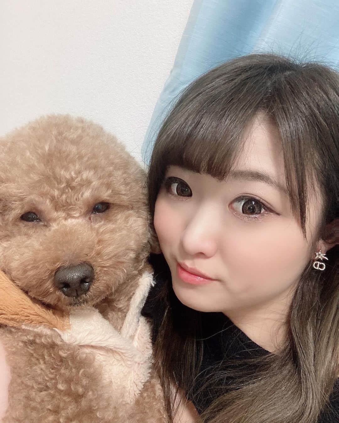 黒崎みかのインスタグラム：「仲良し♥️  #黒崎みか#セクシー女優#トイプードル#愛犬#仲良し」