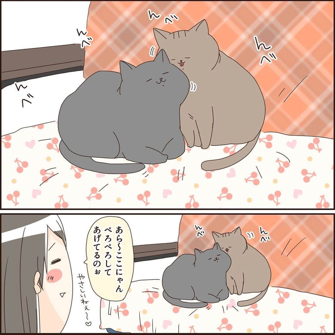 こじめのインスタグラム