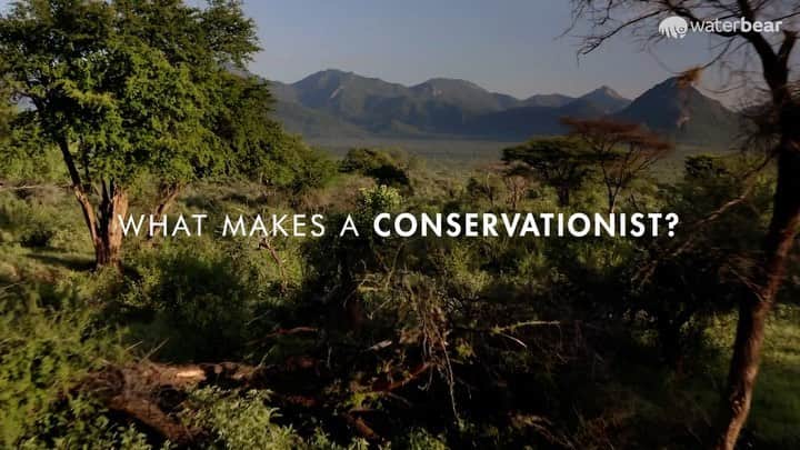 ジェイミー・チャンのインスタグラム：「Today I want to honor these female conservationists; Rosamira Guillen, Resson Kantai Duff, Sheila Funnell, and Dr. Krithi Karanth, as well as food justice advocates Abigail Williams and Jayne Goss. You can watch a series of Wild Innovator Shorts that highlight their hard work on WaterBear Network. This uplifting series spotlights our visionary leaders helping people and nature thrive--together.  @wildelements @waterbearnetwork #wildelements  #waterbearnetwork #internationalwomensday Link in my stories ♥️」