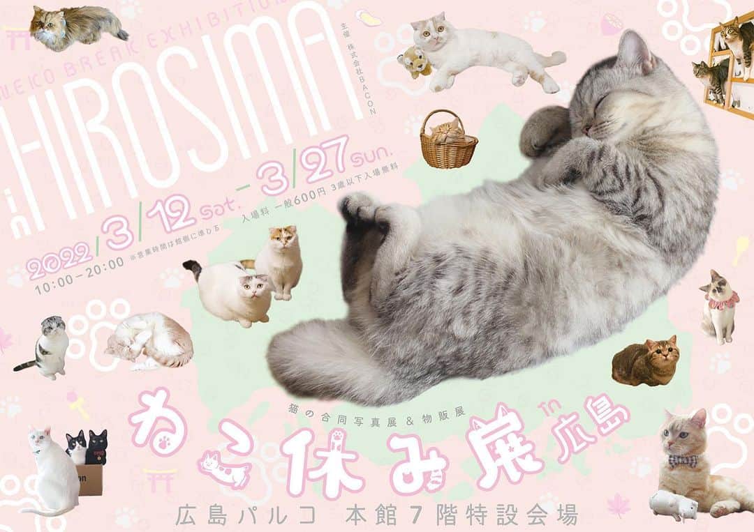のインスタグラム：「3月12日から、広島で約3年ぶりとなる#ねこ休み展 開催されます🌸  新たなスター猫ちゃんも登場するみたい😳💓」