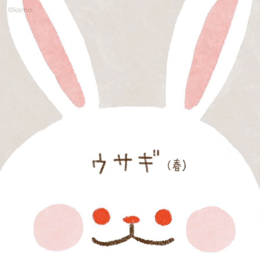 カモのインスタグラム