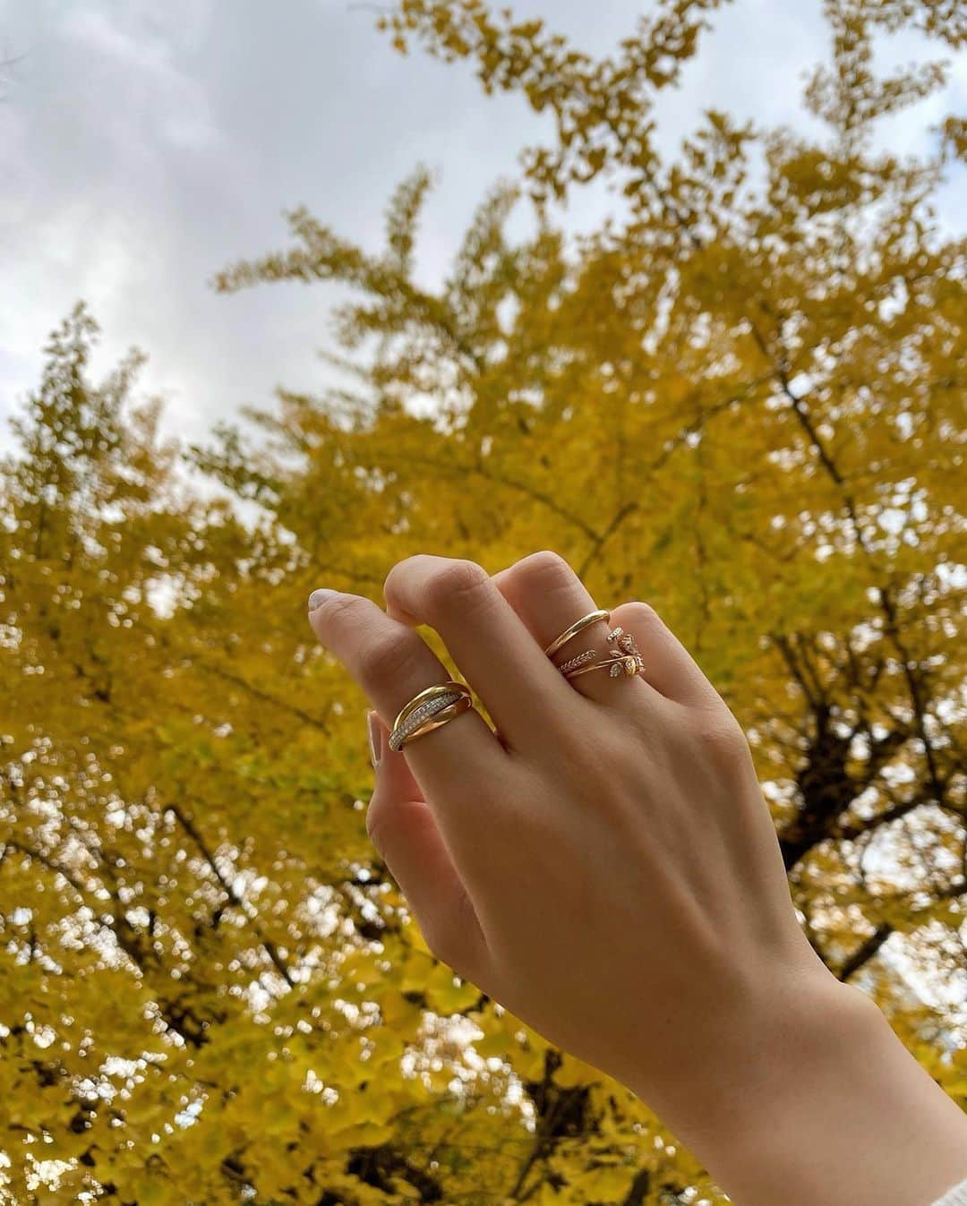 利水翔のインスタグラム：「撮影の休憩中に銀杏の木と手を😗🍂  撮るのに必死でカメラマンさんに 撮られてるのに気づかなかった🤣  #撮影の裏側 笑　 #必死  #shooting #ginkgo #銀杏 #秋 #冬 #ファインダー越しの私の世界」