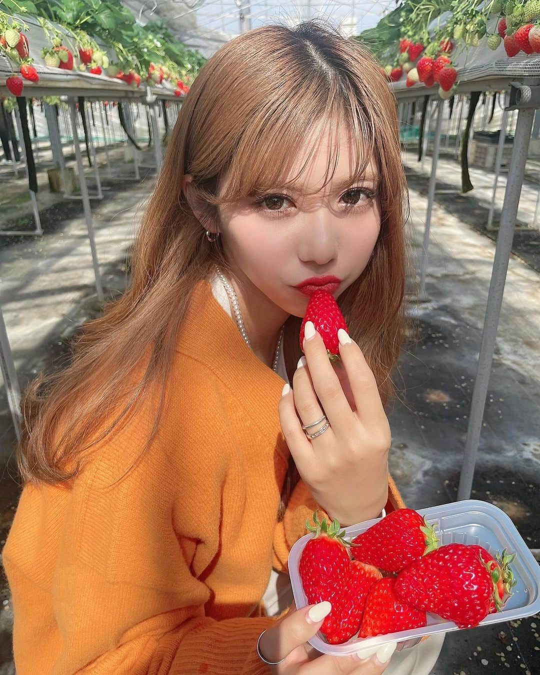 伊藤莉子のインスタグラム：「． ． ． 楽しかったいちご狩り🍓❤️ ． 写真もしっかり撮って、 いちごもどっさり食べた🤤笑 ． とちおとめ、さがほのか、章姫 よつぼし、紅ほっぺ みんなはどの種類のイチゴが好き？💓 ． ． #いちご狩り #苺 #いちごスイーツ #関西いちご狩り #春服 #春コーデ #オレンジカーディガン #ootd #カジュアルコーデ #code #ハイトーンカラー #シルバーアクセ ．」