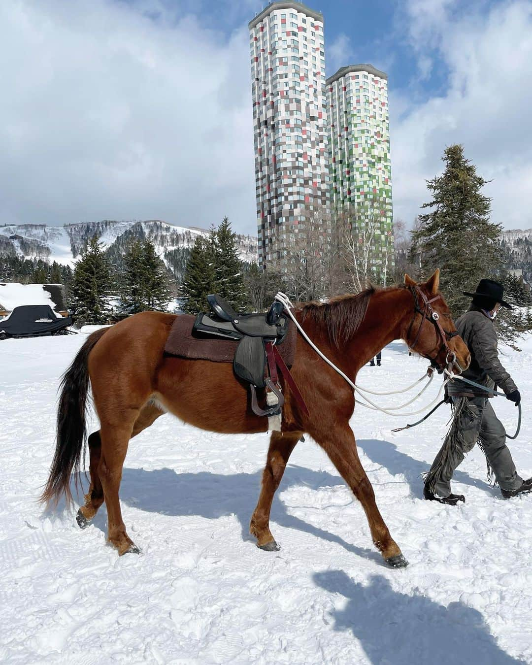 佐達ももこさんのインスタグラム写真 - (佐達ももこInstagram)「🐴🤍❄️  トマムの雪の中、 乗馬をしたのが最高の思い出✨  美しい白馬のヒカリくんに 乗らせてもらいました🤍  一面雪景色のひろ〜い敷地を お馬さんとゆっくり歩いて、 楽しい癒される時間🥺✨  ここのホテルはこの他にも、 沢山アクティビティがあるから 1日じゃ楽しみきれない😳  スノーモービルもめちゃ楽しかったな🥰  #トマム#トマム星野リゾート#リゾナーレトマム#tomamu#乗馬#北海道#北海道旅行」3月9日 19時45分 - sadamomodayo