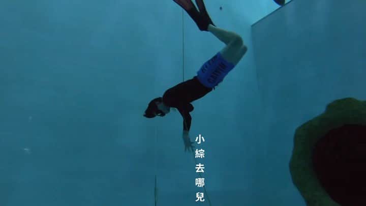 鄭元暢のインスタグラム：「教練說我已經可以在海中拍很多照片了 自由潛水課程初體驗😎 完成人生願望清單之一👍」