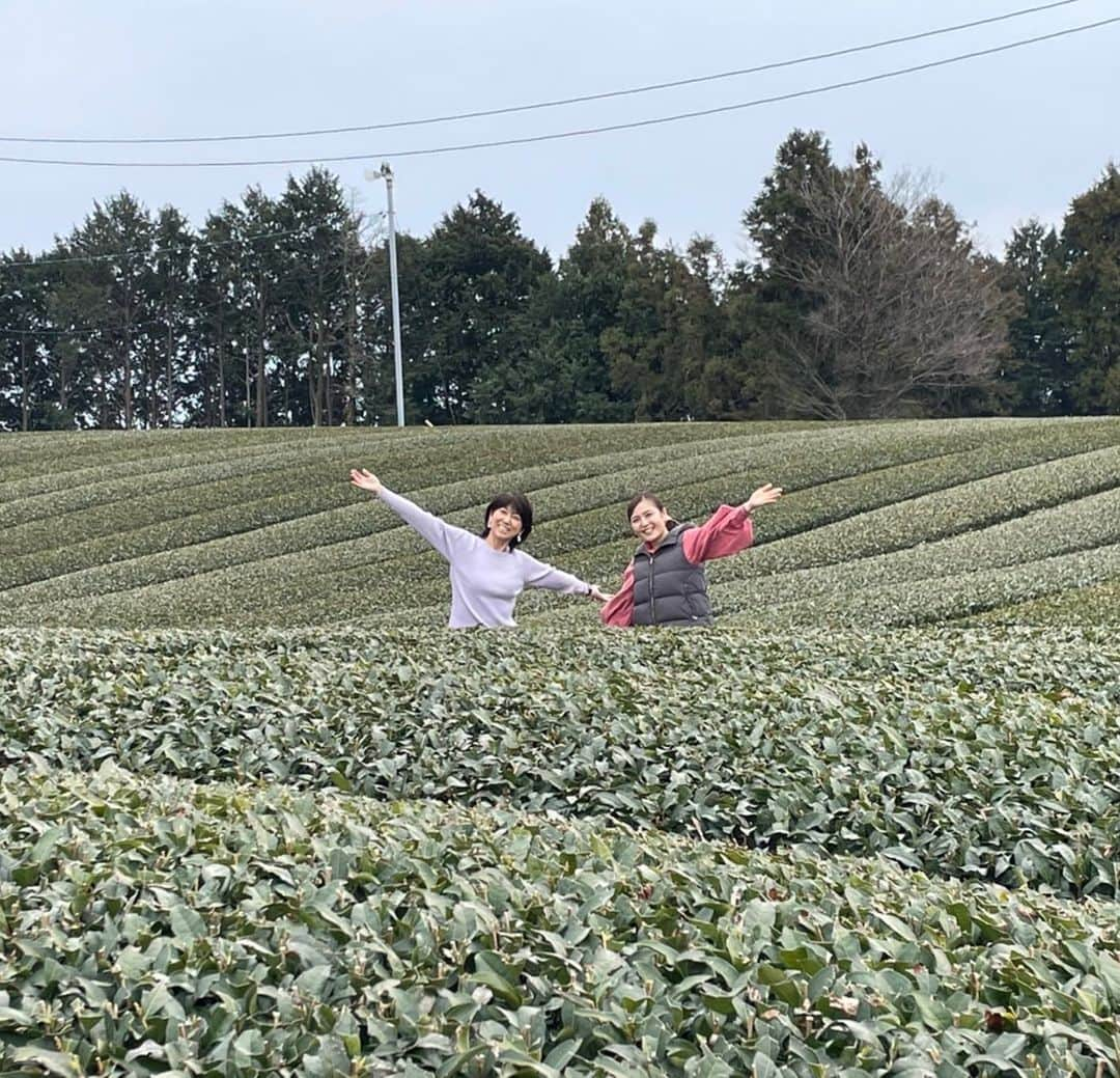 北清杏奈のインスタグラム