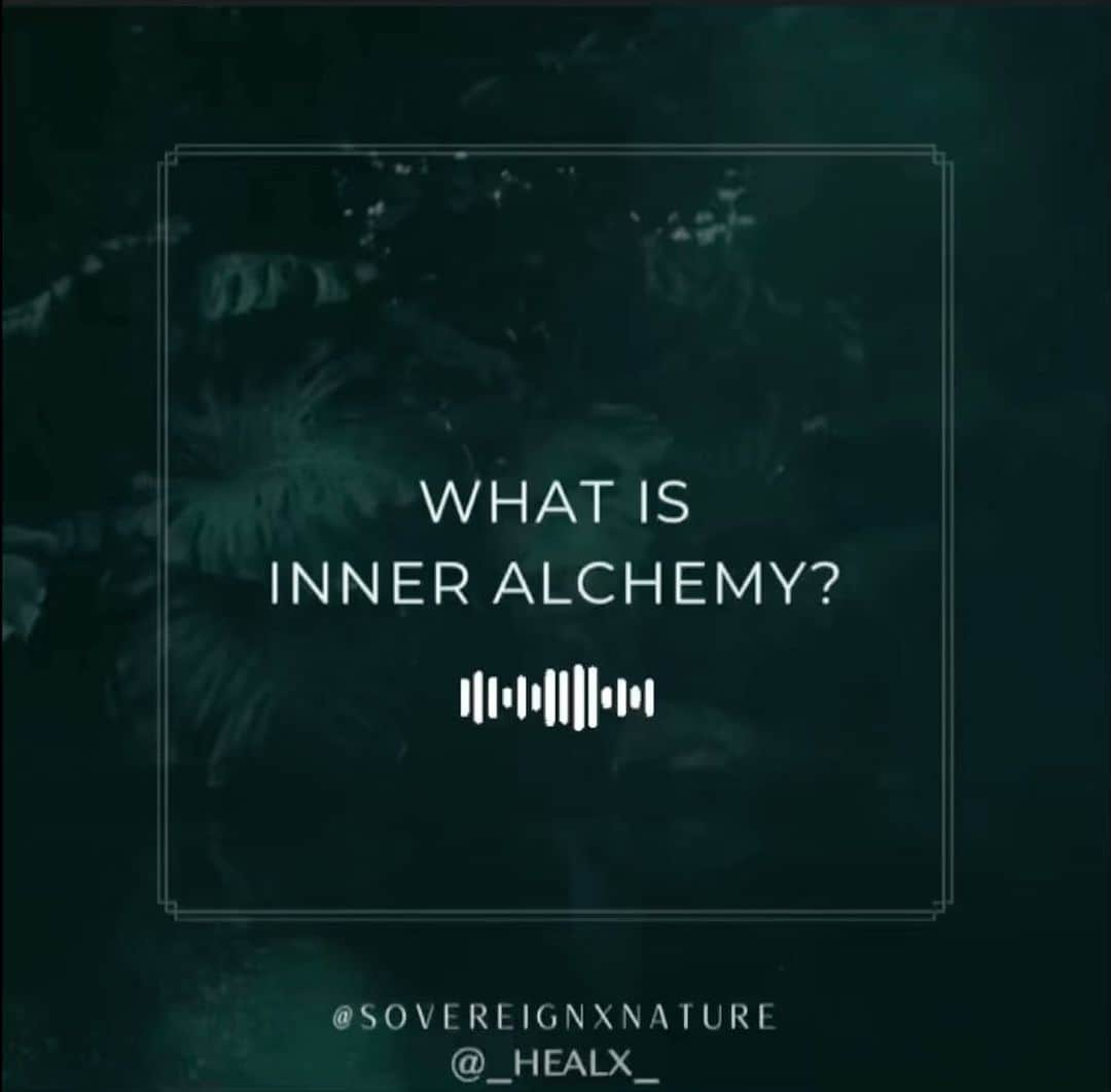 ディラン・モスコビッチのインスタグラム：「INNER ALCHEMY Program- Sound on!  • Our bodies hold truth, wisdom and infinite potential. Our unique multi-dimensional blueprint carries our purpose and keys to growth & healing.  • Our work is to uncover this wisdom and decode our purpose for our highest good.  • During this program we will spend time in deep self-reflection with the intention of meeting ourselves, again.  With respect and reverence for the healing power of nature where we will be guided in ceremonies with sacred forest medicine to awaken. • To enhance this process we will utilize a signature series of embodiment practices guided by an expert team - including breathwork, meditation, movement, earth wisdom teachings and integration circles. 🔥 DM for discovery call! #svxn #inneralchemy #alchemy #psychedelic #mushrooms #healing #plantmedicine」