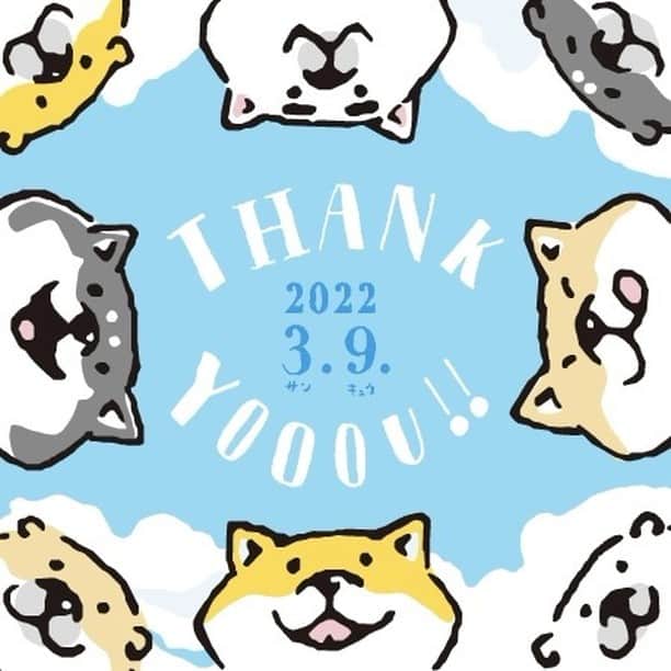 のインスタグラム：「えへへ「H」抜けてた💦  1日過ぎちゃったけど、改めまして 今日もありがと〜♪  でしゅ💕  〈ฅ `ᴥ´ ฅ〉(ᐡ・ᴥ・ᐡ)  #しばんばん #shibanban #むちころばんばん #muchicorobanban #今日のしばんばん #オオゴシヤステル #マインドウェイブ #mindwave#shibainu #柴犬 #しばいぬ  #感謝の日 #Thankyouの日 #日本」
