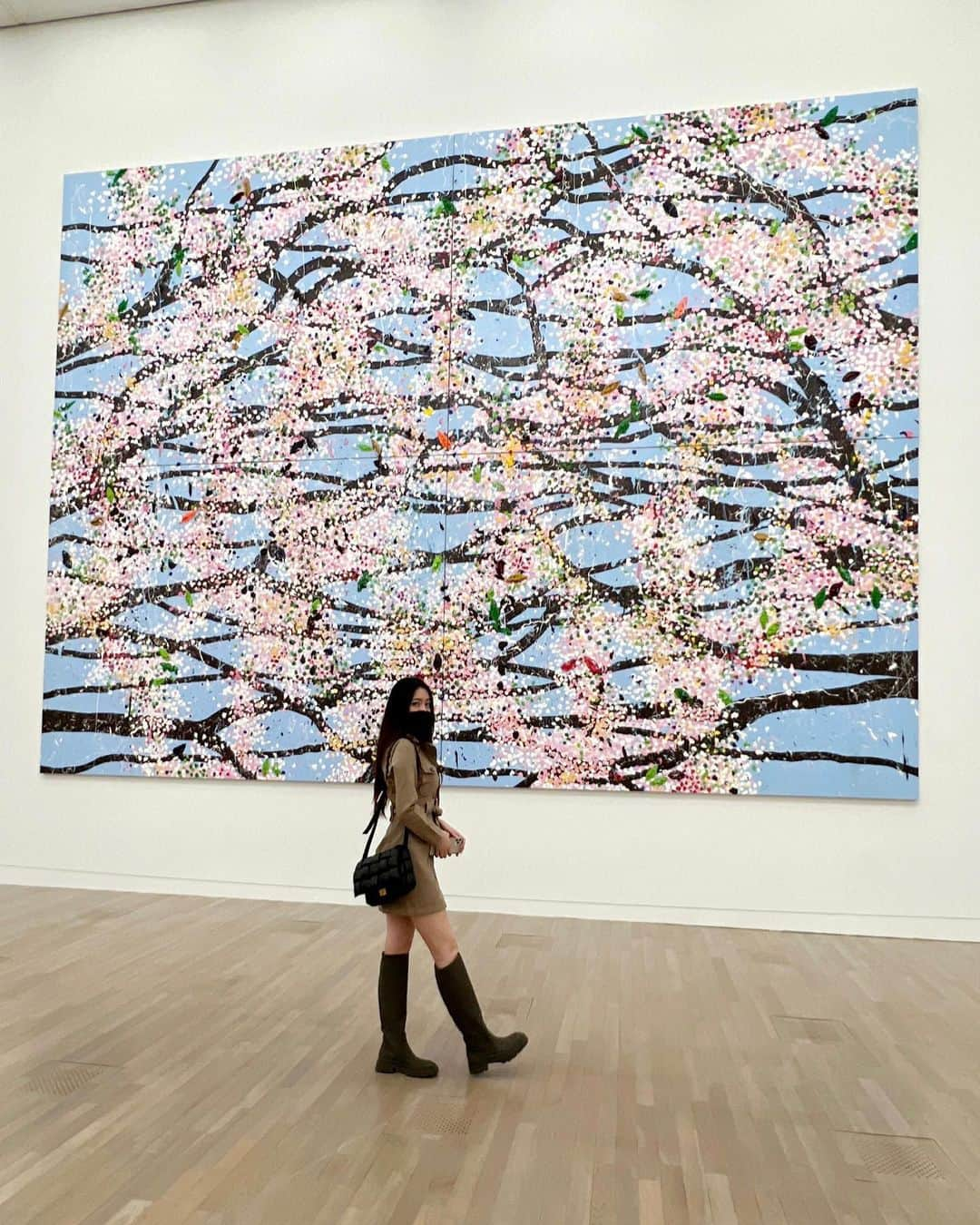 小柴綾香のインスタグラム：「Cherry Blossom  by @damienhirst 🌸」