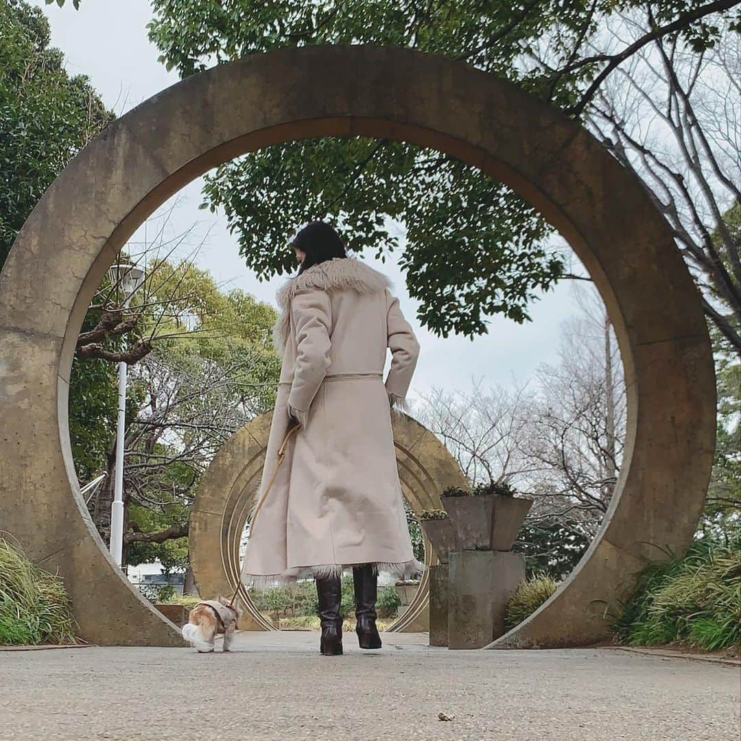 のインスタグラム：「歩く国際協力 Walk in her Shoes2022が 3/8からスタートしました👠 ⁡ 今年も『チームWALK on EARTH』の皆んなと それぞれの大地を歩きます✨ ⁡ 私はウォーキング講師としても ひとりの人間としても 歩くこと＝生き方なので 365日 "歩く"について考えてしまうけど ⁡ ⁡ 毎年この時期は 歩くことに意識を向ける仲間が 世界中にできた感じがして 嬉しくなる🥰 ⁡ 「世界中の人達が自分を輝かせ 地球の大地を歩くVISIONの実現』 ⁡ 1人じゃ成し遂げられない世界を 色んな方と繋がりながら 共通のゴールに向かって 歩いていけたらいいなと思う✨ ⁡ ⁡ さてこのキャンペーン 3/8〜5/31と、約3ヵ月ほど。 ⁡ 私なりの歩く楽しみ方を 少しずつ書こうかなと 思っています🥰  ーーー歩く楽しみ方①ーーー ⁡ まずは私の相棒チョコさんと🐶 (最後は歩かないから抱っこなんだけどw) ⁡ ＼いつもよりちょっと先まで   歩いてみる好奇心／ ⁡ あっ ここにこんなのあったんだー！ と新たな発見があるかもしれません    ⁡ 毎日の歩くをもっと楽しく！ 　　〜WALKNISTA〜 ーーーーーーーーーーーーーーー ⁡ このオブジェ？ 「C」に見えるから 100円寄付されるかなー♡ ⁡ ⁡ 〜歩き方次第で世界が変わる〜  全ては自分と向き合うことから  ＿＿＿＿＿＿＿＿⭐︎＿＿＿＿＿＿＿  「在り方・歩き方・日常の所作」で あなたの存在そのものを輝きにする MUSEL Walking & Life Academy  👠レッスン申込みは @asaikayoko プロフィールURLから  👠LINE公式でレッスン案内しています。お友達登録してね  #歩く国際協力 #チームwalkonearth #歩く力 #walkonearth #ウォーキング #お散歩 #wihs2022 #犬との暮らし #お散歩スポット #walknista #ウォークニスタ #muselwalk #毎日の歩くをもっと楽しく #ウォーキング講師」