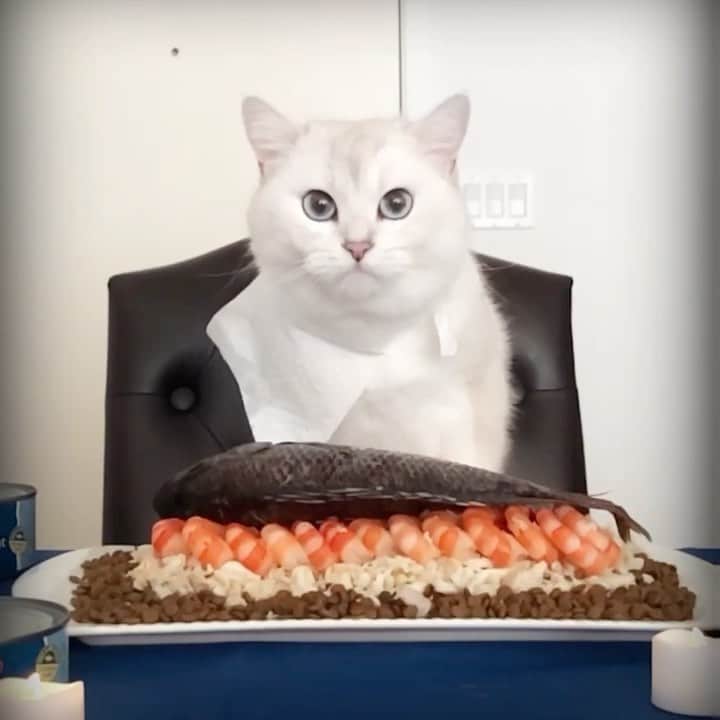 のインスタグラム：「Sweet dreams are made of fish. (🔈 on) #tbt」