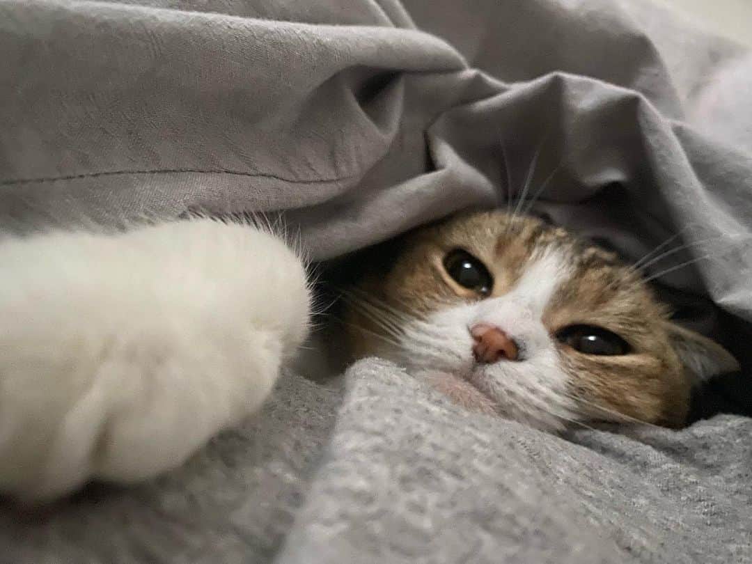 ひよりのインスタグラム：「2022/03/11  6th HBD🎉GOMAO😽」