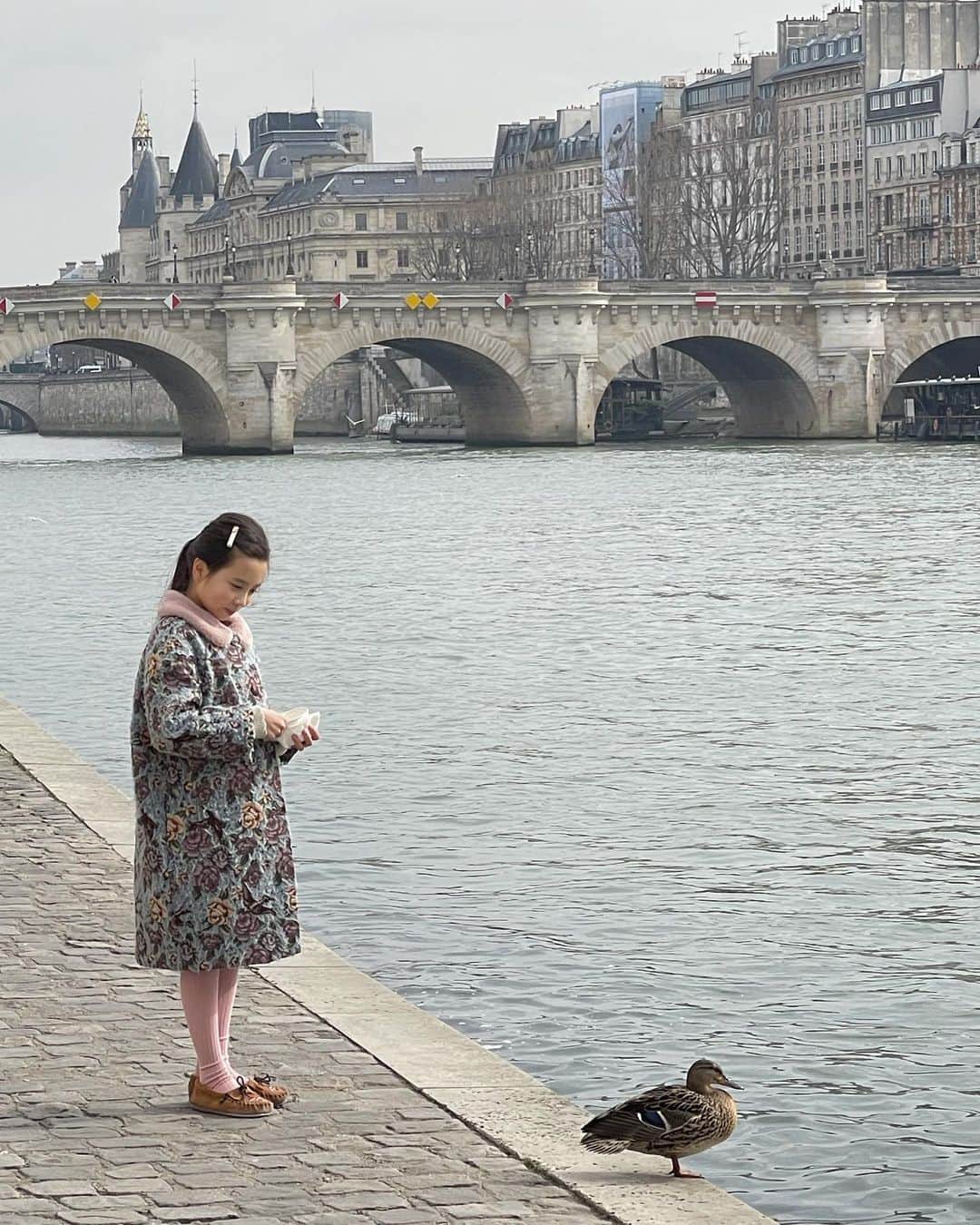 フィロとポンポンのインスタグラム：「Warm grey🤍 Les parisiennes en bord de Seine…🤍」