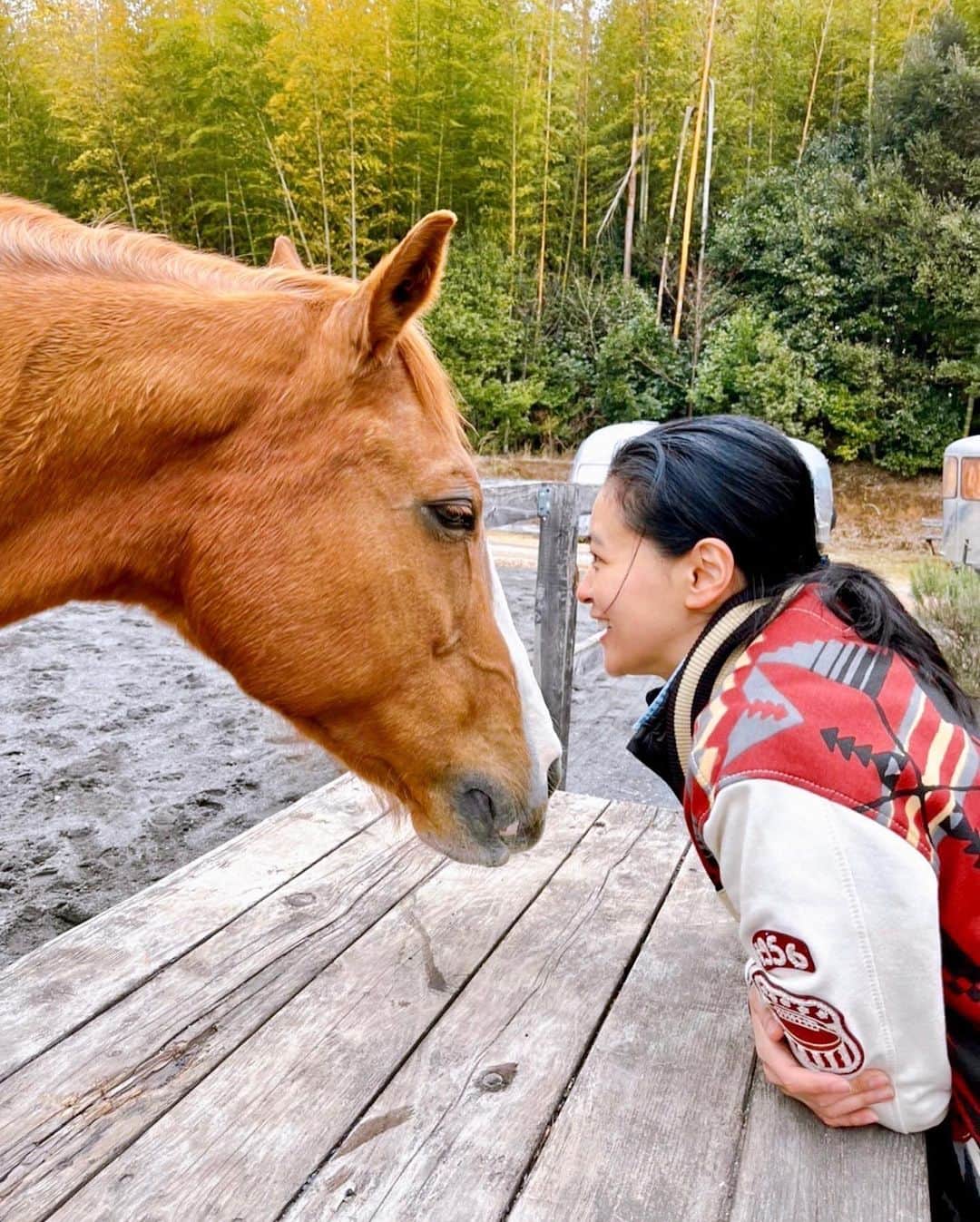 黒谷友香さんのインスタグラム写真 - (黒谷友香Instagram)「ヨモちゃんとお話し中😉  #ralphlauren#poloralphlauren#乗馬#馬#Coleman#ボタニカルキャンドル#東京#平和 #長崎#平和公園#sdgs#長崎原爆資料館 #アンティーク#ハーブ#ラボット#diy#日本#映画 #祈り#日産 #nissan#日産ariya#ai#大鵬薬品工業#バップフォーレディ#エビス#プレミアムケアハブラシ#黒谷友香」3月11日 16時00分 - tomoka_kurotani