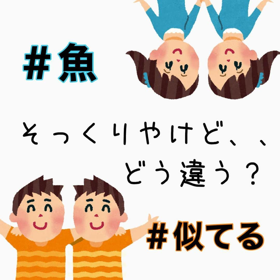 ペルビー貴子さんのインスタグラム写真 - (ペルビー貴子Instagram)「. ハマチ(メジロ、ブリ)とヒラマサの 違いってなぁんだ😊？？  しっかり見ると違うんです🥰  どちらも美味しい！！ は同じですけどねぇ😋  #釣り　#釣り　#フィッシング　#fishing #ジギング　#魚料理 #釣り好きな人と繋がりたい  #釣り好き　#釣り人 #アングラー #魚釣り　#釣り方　#豆知識 #ペルビー釣り情報配信」3月11日 18時04分 - fishing__info