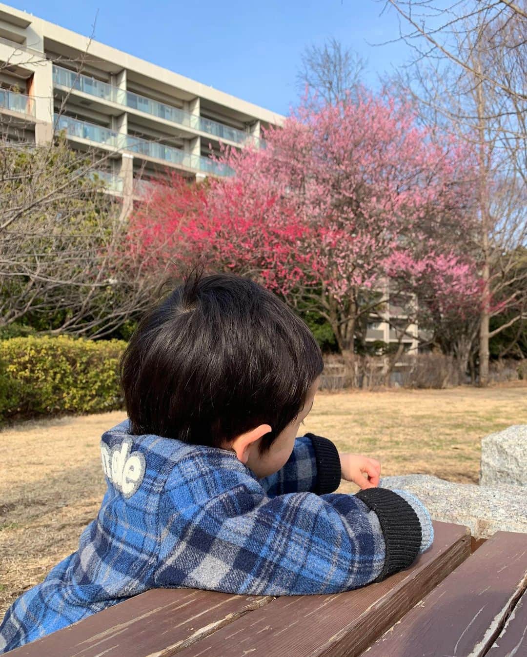 仲川希良のインスタグラム：「眠くなるほど穏やかな午後でした ・ ・ 11年前の今日もそんな時間が当たり前に続くと思っていたけど あの瞬間から足元が崩れ落ちるように 自分を取り囲む空気がガラリと変わったのを忘れられません ・ でも同じことがたった今起こる可能性だってあるってことを 時々忘れそうになる ・ 当たり前の日常はない……なんて 使い古された表現だけど ・ ・ 今もきっと日本中にいる 当時の傷を抱えながら生活する人 今まさに世界中にいる 日常が破壊されてしまった人 ・ 当たり前が当たり前でなくなる怖さや悲しさや悔しさや遣る瀬なさを 想像することをやめてはいけない ・ と この時間が続くと信じることも疑うことも知らない 今を生きる息子を眺めながら ・ ・」