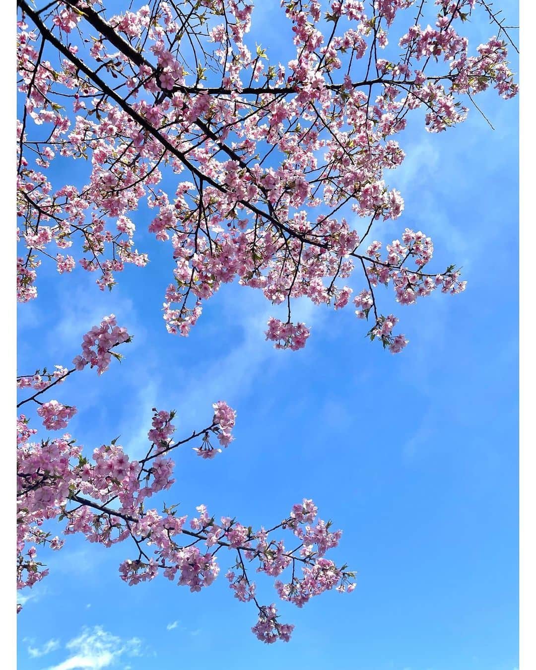 林美沙希さんのインスタグラム写真 - (林美沙希Instagram)「. 3.11  "安全神話に陥らないために" 笑って過ごせる日々が どれだけ尊いものなのか、 改めて考える日にしたいです。 . いつかに備えて 大切な人を、自分を守れるように。」3月11日 18時35分 - misaki0hayashi