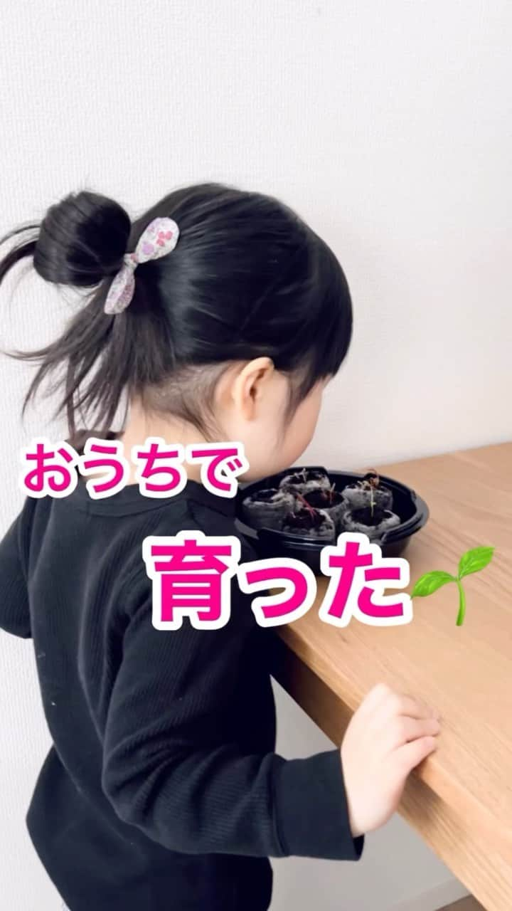 まるまるのインスタグラム