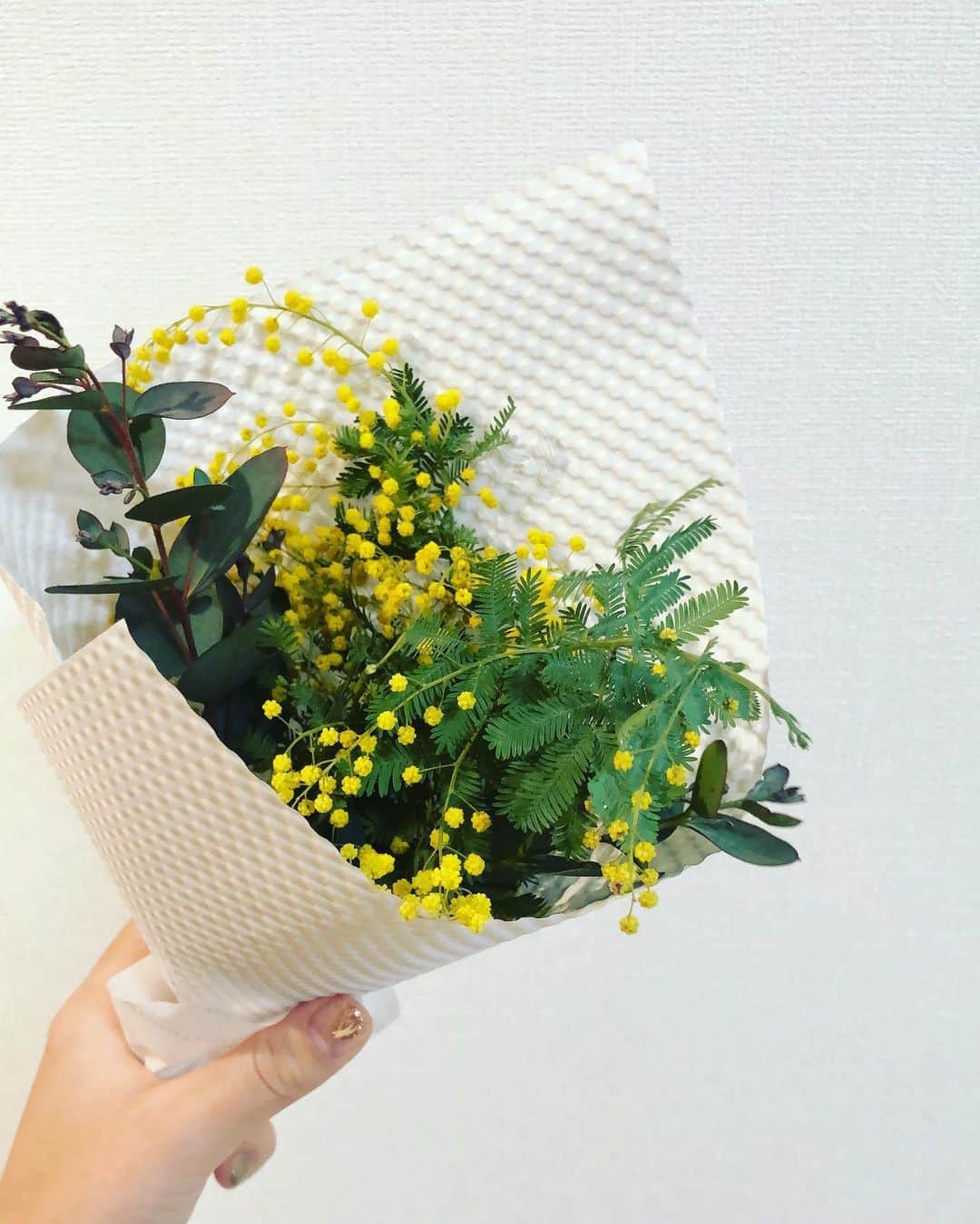のインスタグラム：「🌼 . 3/8に載せようと思っていたミモザちゃん いろいろと先週からバタバタしていたので 載せるのがうんと遅くなっちゃいました笑 . しばらく投稿できてなくてご心配をおかけしました💦 白戸、元気ですのでご安心を🤗 季節の変わり目、皆さん体調気をつけて下さいね🌸 . #国際女性デー #遅どり #ミモザ」