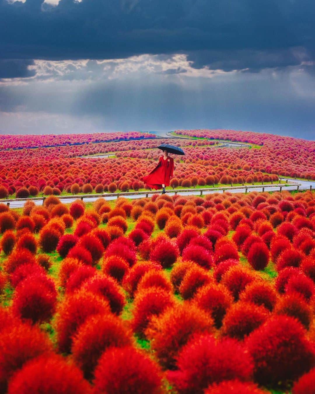 佐原モニカのインスタグラム：「Lady in Red |   NFT artwork now live @superrare.co   Featuring @moni_saha   Shot in #ibaraki #japan」