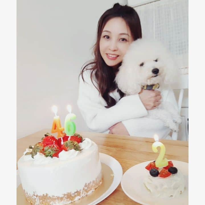 インリンのインスタグラム：「46歳になりました🎂今年も誕生日が一緒のルークスにケーキを作ってお祝いました♪健康で穏やかな1年が過ごせますように😁  #誕生日 #46歳 #台湾 #台北 #犬ケーキ #ブルーベリー #トマト」