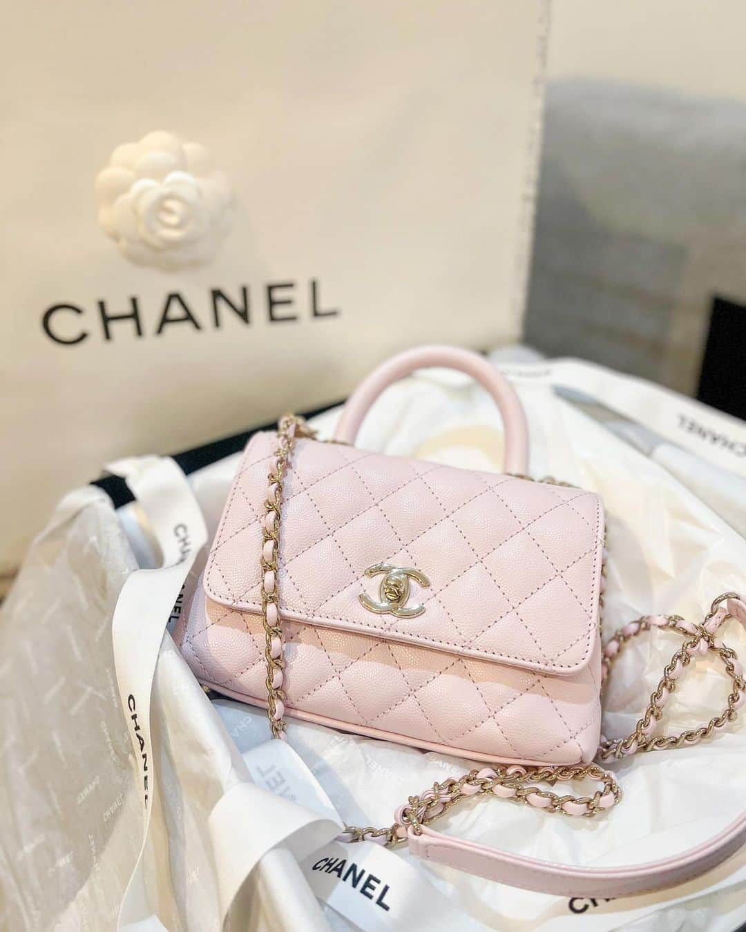 ゆめさんのインスタグラム写真 - (ゆめInstagram)「❤︎ CHANEL ‪‪❤︎‬  入荷連絡を待っていたこの色の ココハンドルちゃんっ🥺  もうかーーーーーーわいっ。  担当さんから連絡もらったとき 仕事の支度してたんだけど 今行くしかない！って思って すぐ行ってきた😂💞笑  実物をひと目見て即決🥺 写真よりも実物の方が何倍も可愛い！  サイズは1番小さいミニだよっ やっぱ色物のバッグは小さいサイズが可愛いな〜  #CHANEL #シャネル #ココハンドル #ココハンドルミニ #cocohandle」2月16日 17時51分 - ___yu.me___