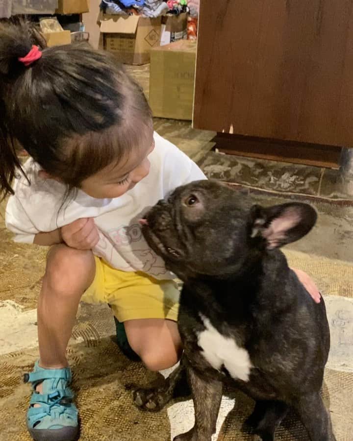 エビアン・クーのインスタグラム：「Look at this 🥺🥺🥺🥺 ウィスキーは子供好き みてー‼️」