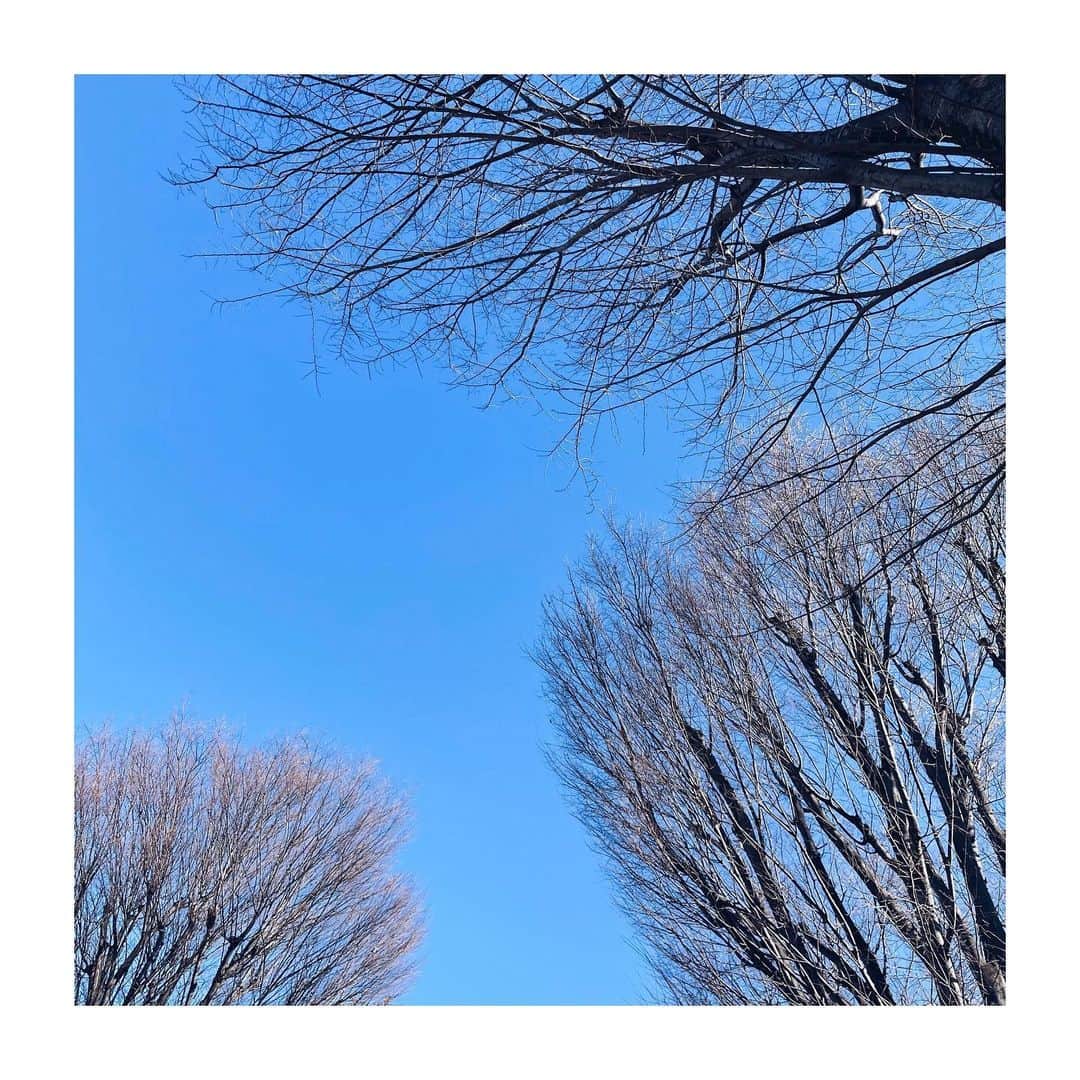 奥菜恵さんのインスタグラム写真 - (奥菜恵Instagram)「風は冷たいけどきれいな青空。  #今日 #空」2月17日 10時18分 - megumi_okina