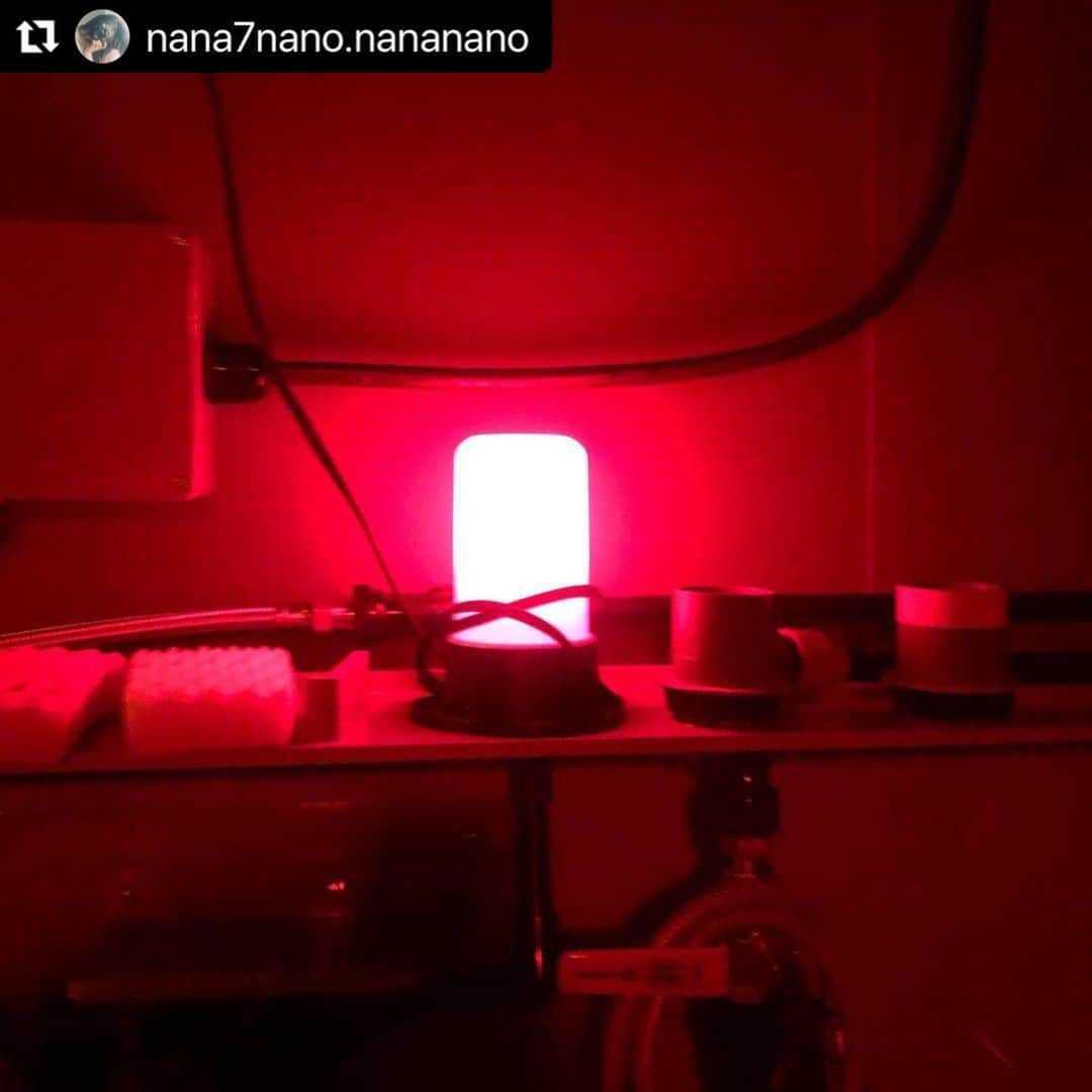 七菜乃さんのインスタグラム写真 - (七菜乃Instagram)「#Repost @nana7nano.nananano with @make_repost ・・・ #暗室作業  #写真展 #モノクロフィルム #バライタ #暗室  #artwork #filmphotography   #film #filmcamera  #フィルムカメラ  #genic_mag #モノクローム」2月17日 11時20分 - nananano.nano