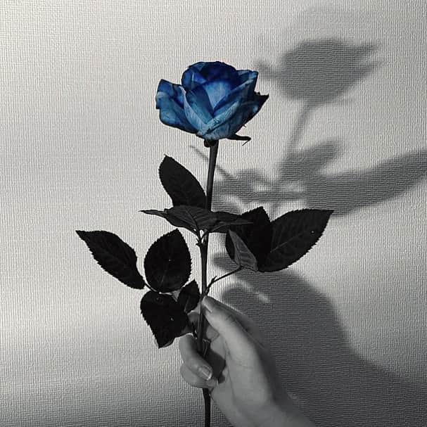 鷲尾伶菜のインスタグラム：「綺麗な青」