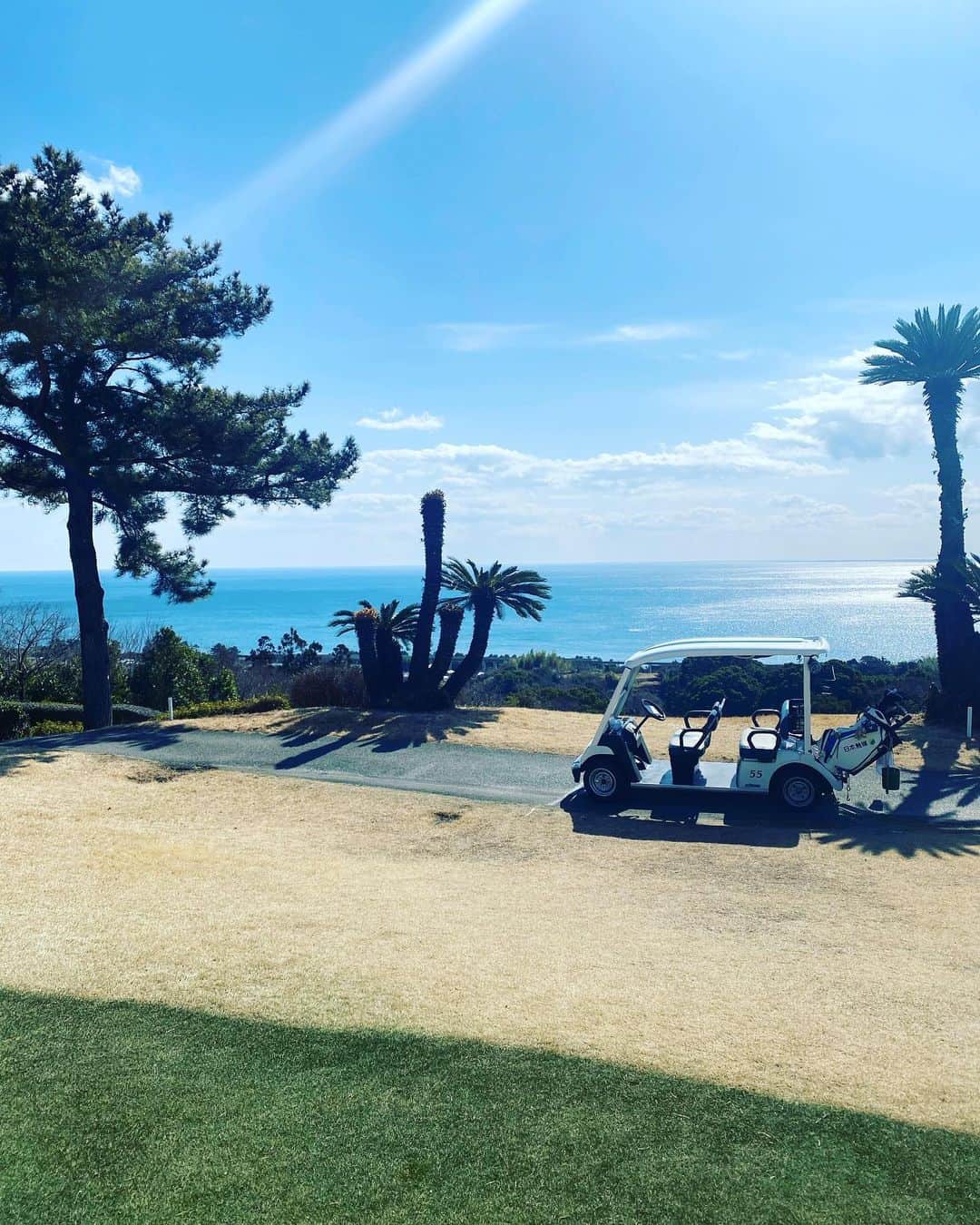 ささきしょうこのグルメインスタ