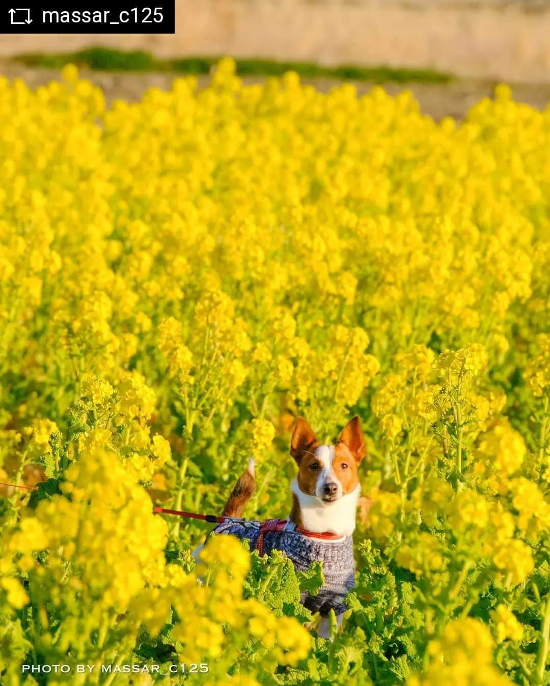 兵庫県のインスタグラム