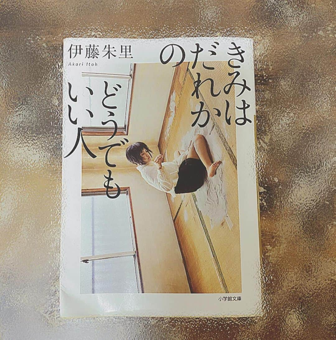 山田しょうこのインスタグラム：「結局愛せない場合は通り過ぎるしかないんだから、 罪悪感持たなくてもいいんだよ 軽く肩ぽんっ てしてくれる本でした。 罪悪感への向き合い方は自由であってほしい。 #きみはだれかのどうでもいい人  #伊藤朱里 さん #読書 #読書記録 #小説」