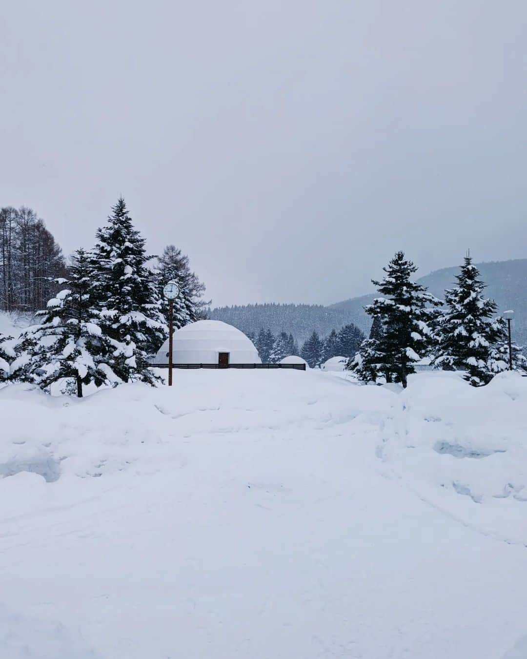 Yoshiko Kris-Webb クリス-ウェブ佳子さんのインスタグラム写真 - (Yoshiko Kris-Webb クリス-ウェブ佳子Instagram)「at @glamprook_iizuna in Nagano. 新雪がキュッキュッって。長野県飯綱高原にあるグランルークで泊まったシングルドームテントは、エグゼクティブ スイートでPATRICIA(77.90m2)という名前。天蓋付き140cm幅のダブルベッドが4台‼️もあって、しかもマウンテンビュー🏔️」2月17日 17時50分 - tokyodame