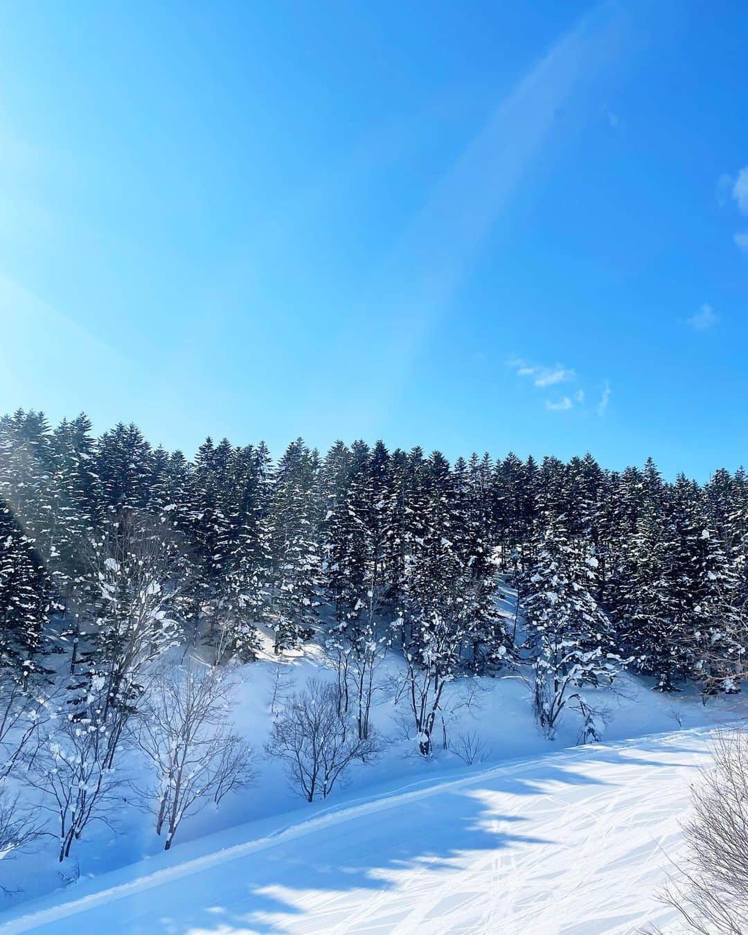 わちみなみのインスタグラム：「雪の中ってなんで音がしないの？  ❄️」