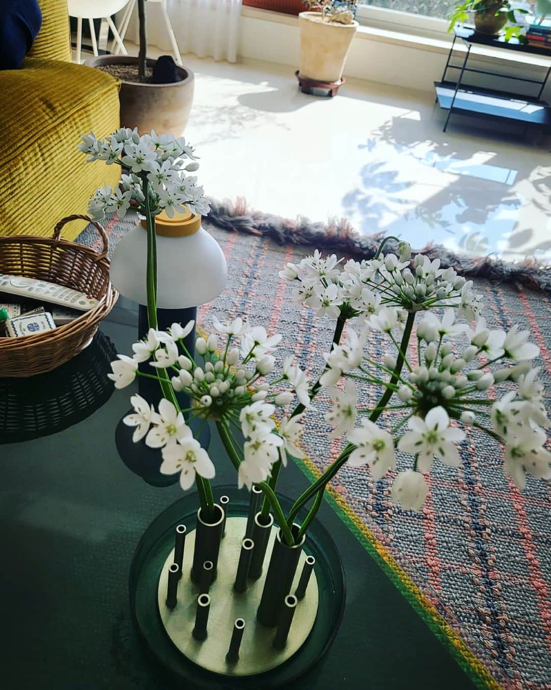 チョン・ヘビンさんのインスタグラム写真 - (チョン・ヘビンInstagram)「예쁘다 예뻐 ♡」2月18日 14時12分 - heavenbin83