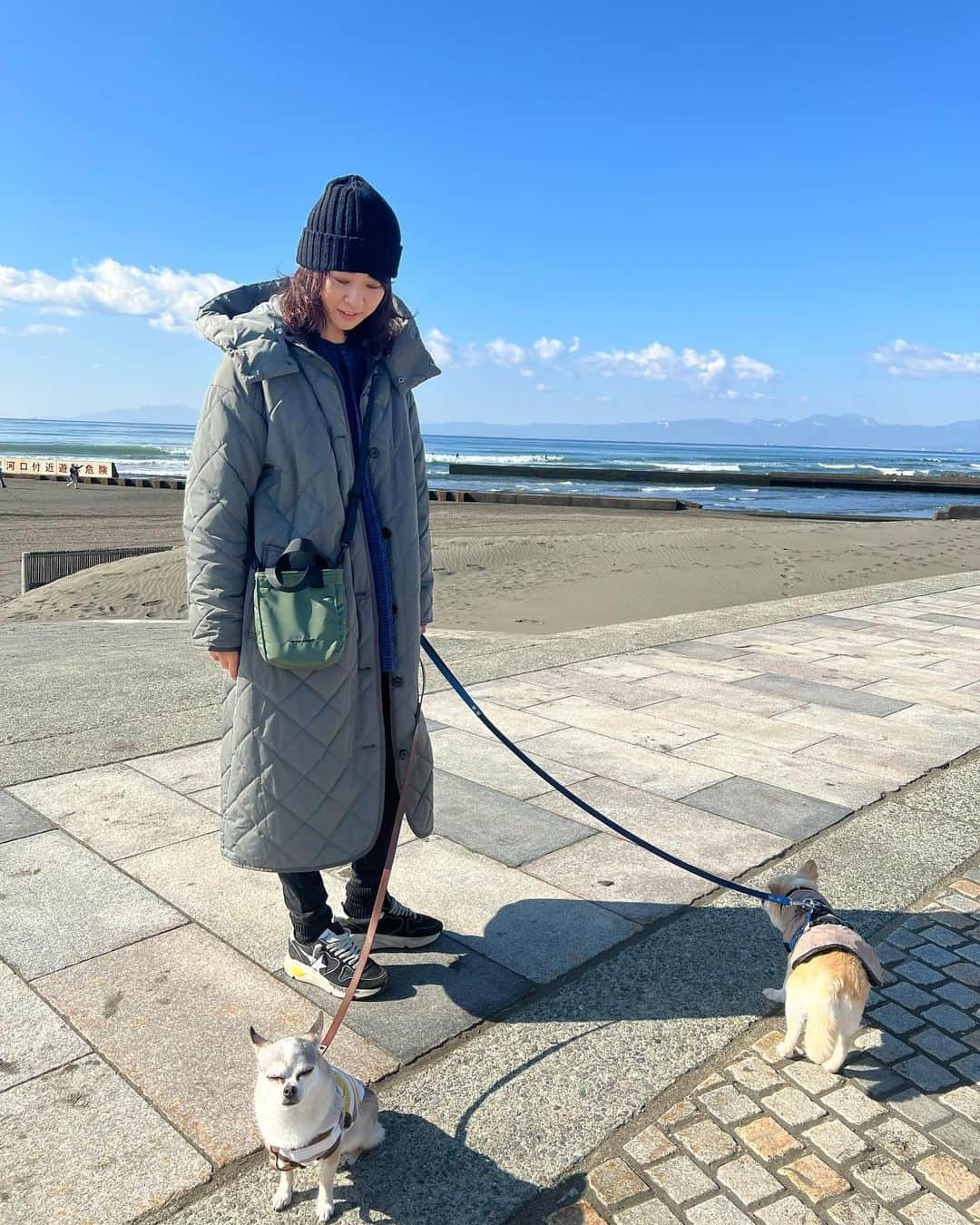 五明祐子さんのインスタグラム写真 - (五明祐子Instagram)「快晴☀️ 今日も良い1日になりますように🥰 @upperhights のミニバッグ、お散歩にちょうどいい大きさ💚💚💚  #ちくわとおもち#ちくわ歩かない😂#おもち歩きたい😂#毎日たいへん #upperhights#初#バッグライン」2月18日 12時19分 - gomyoyuko